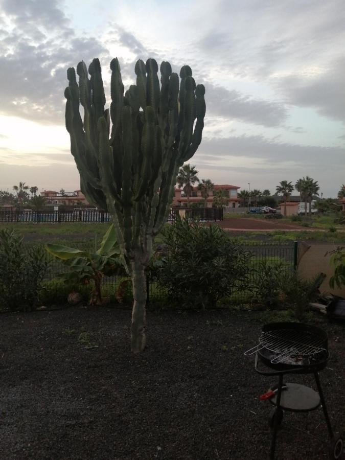 מלון לאחארס Casa Sol Origo Mare מראה חיצוני תמונה